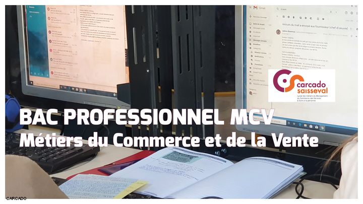 Bac Pro des Métiers du Commerce et de la Vente - Carcado Saisseval